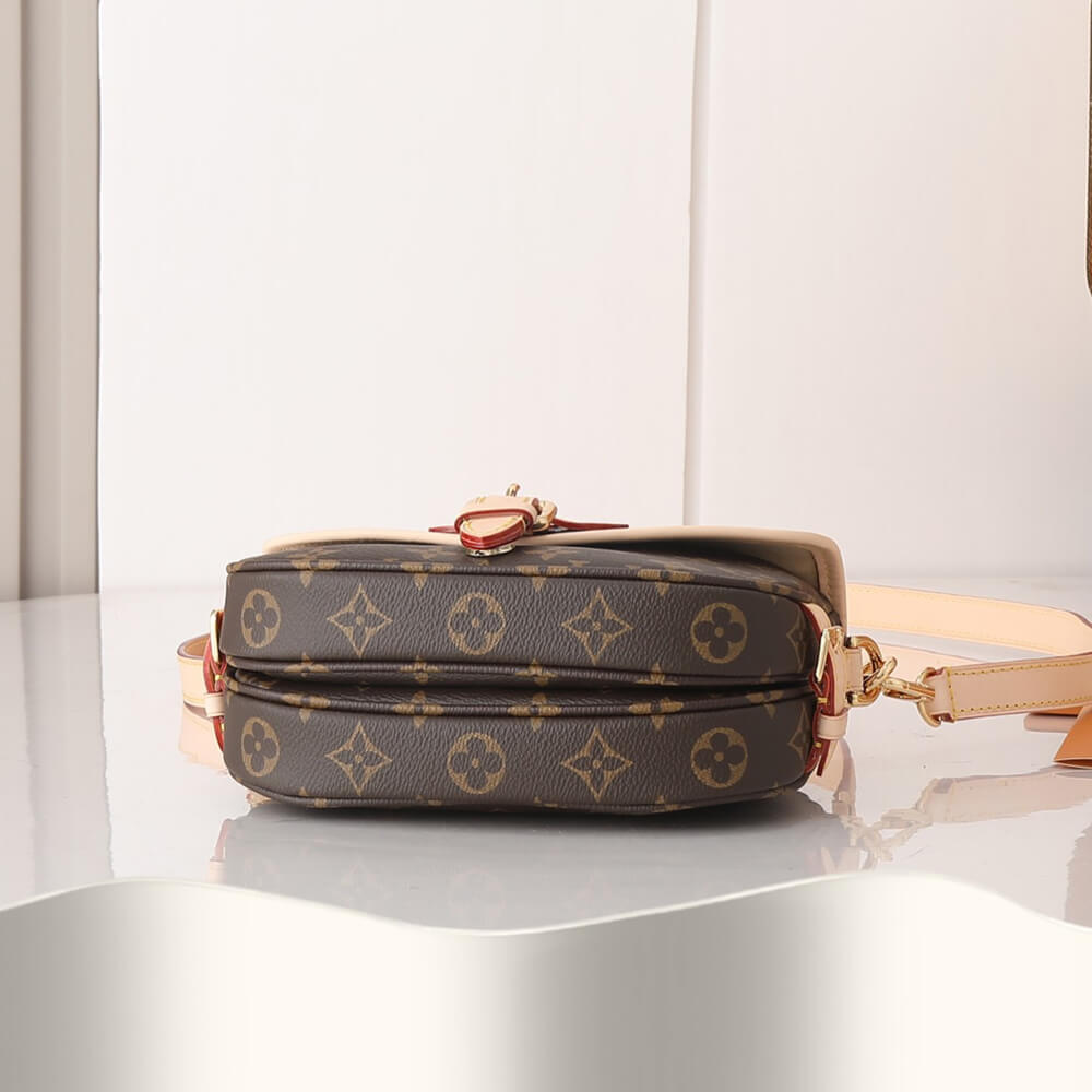 LV  Saumur BB