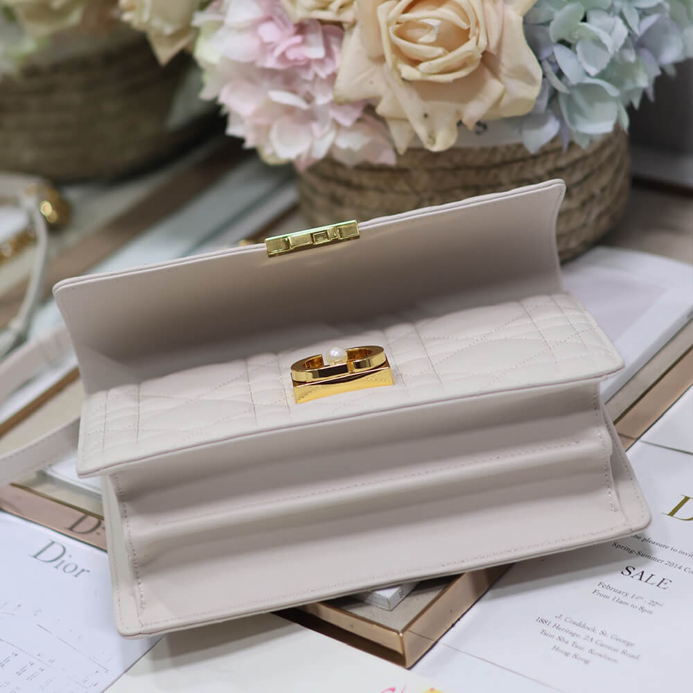 medium D*or ange bag