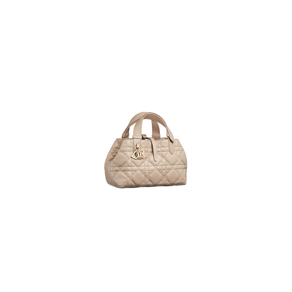 small D*or toujours bag(high-end grade)