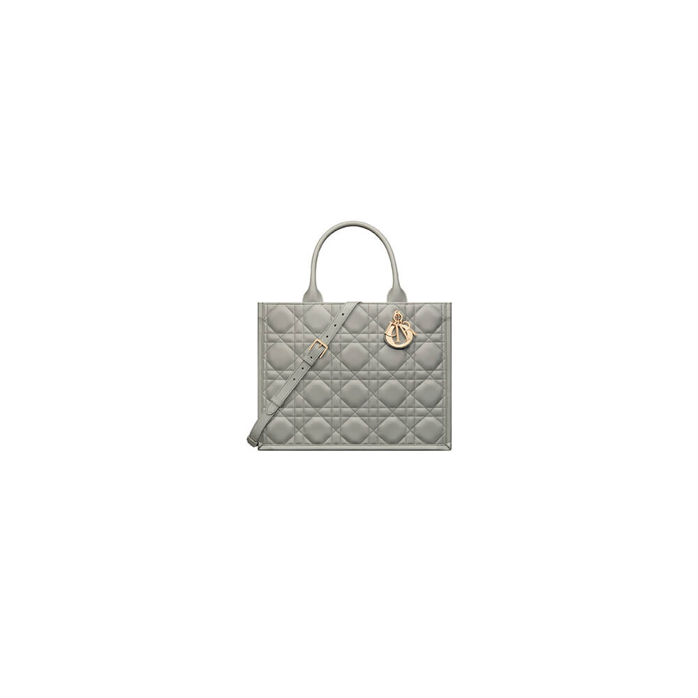 D*or medium D*or book tote