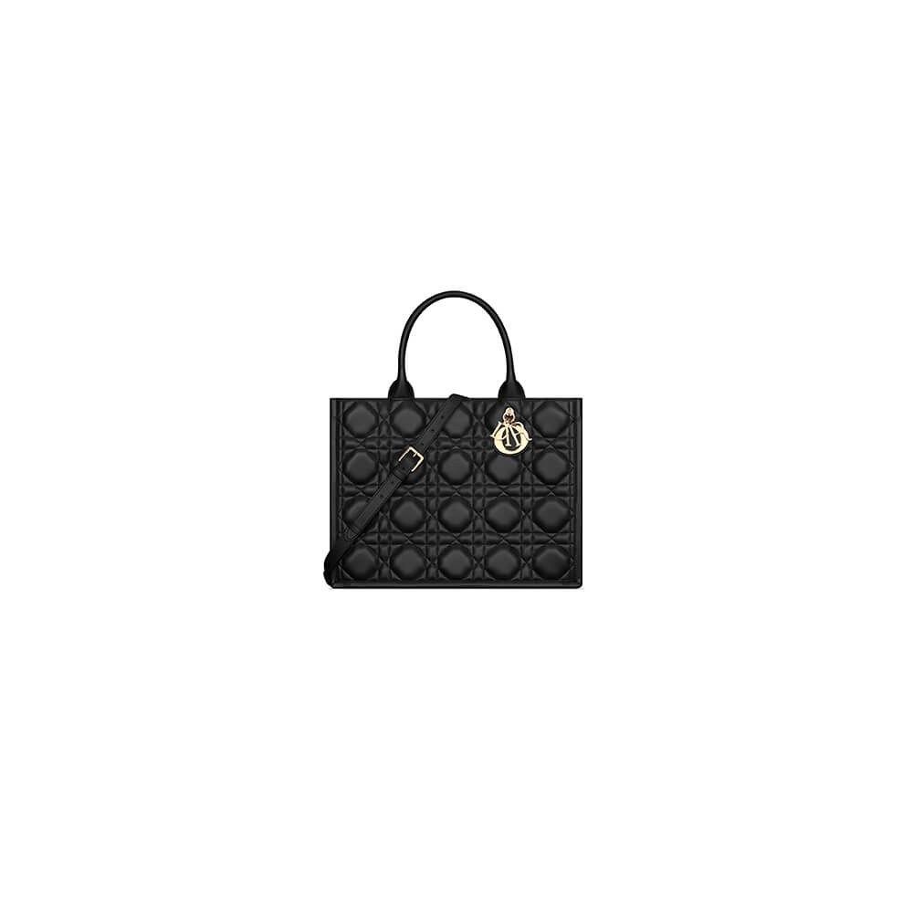 D*or medium D*or book tote