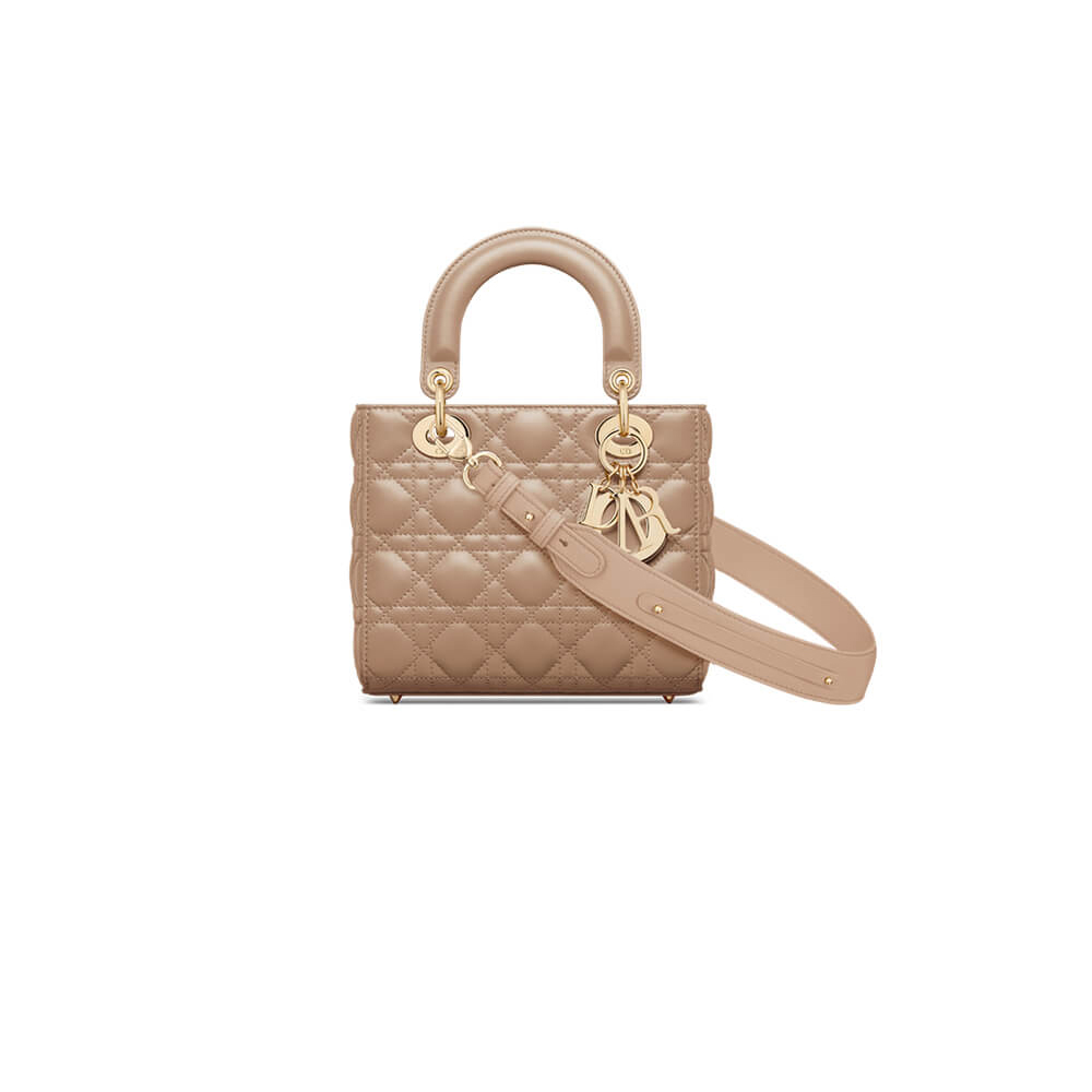 small lady D*or my abcD*or bag
