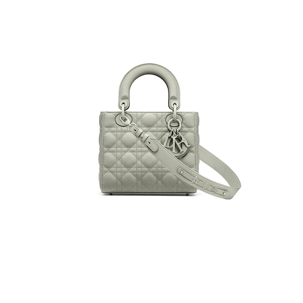 small lady D*or my abcD*or bag