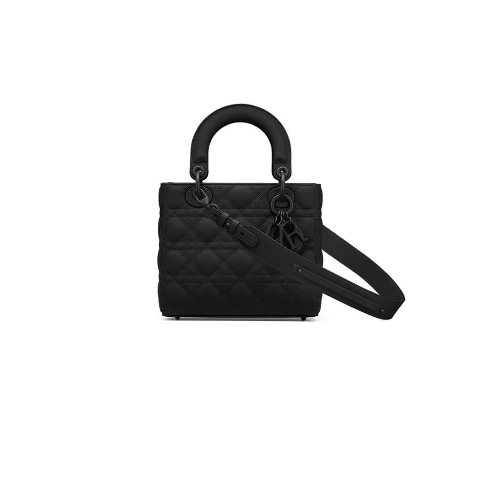 small lady D*or my abcD*or bag